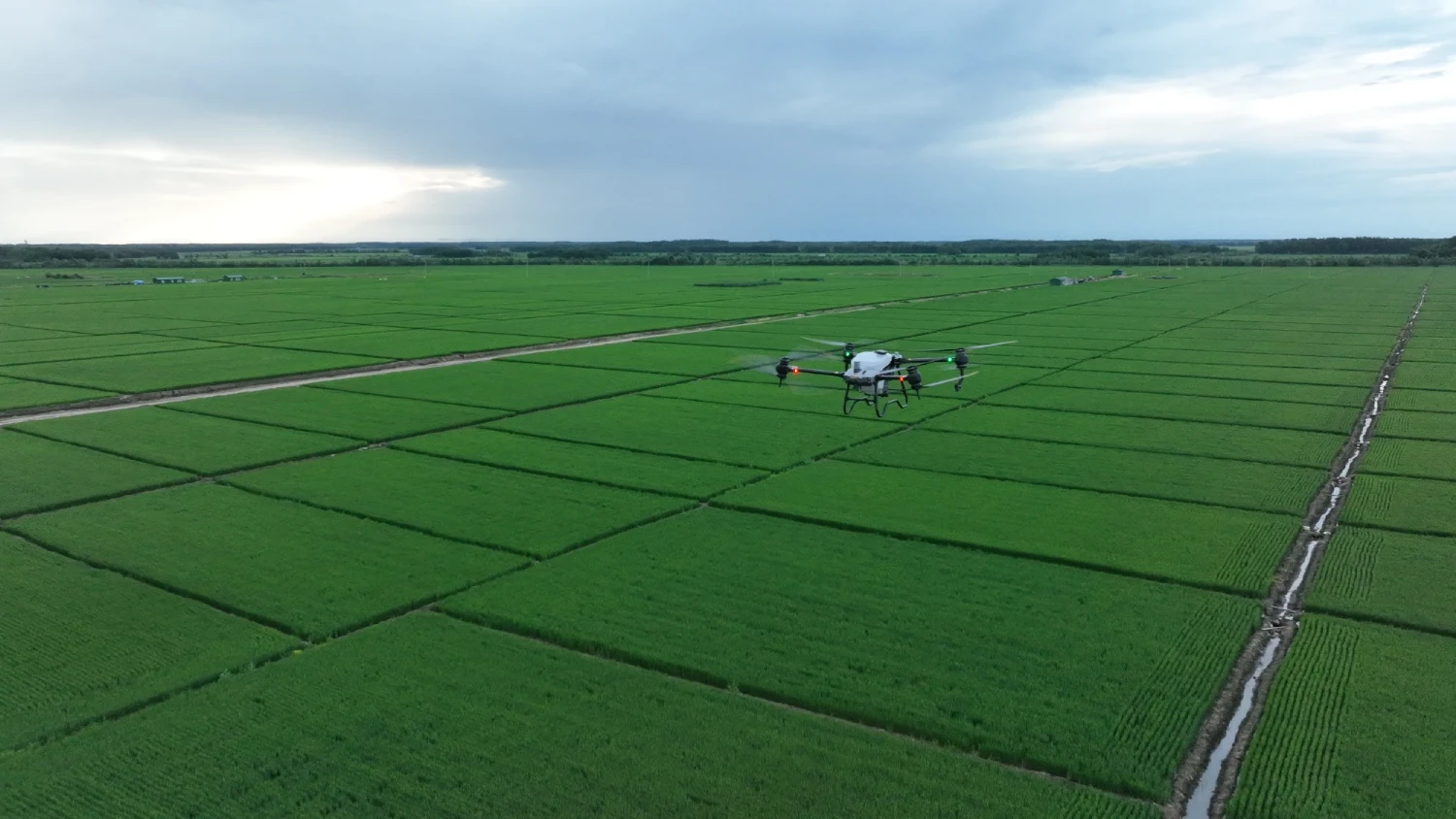 5 Drone Pertanian Terbaik untuk Pertanian Skala Kecil dan Besar