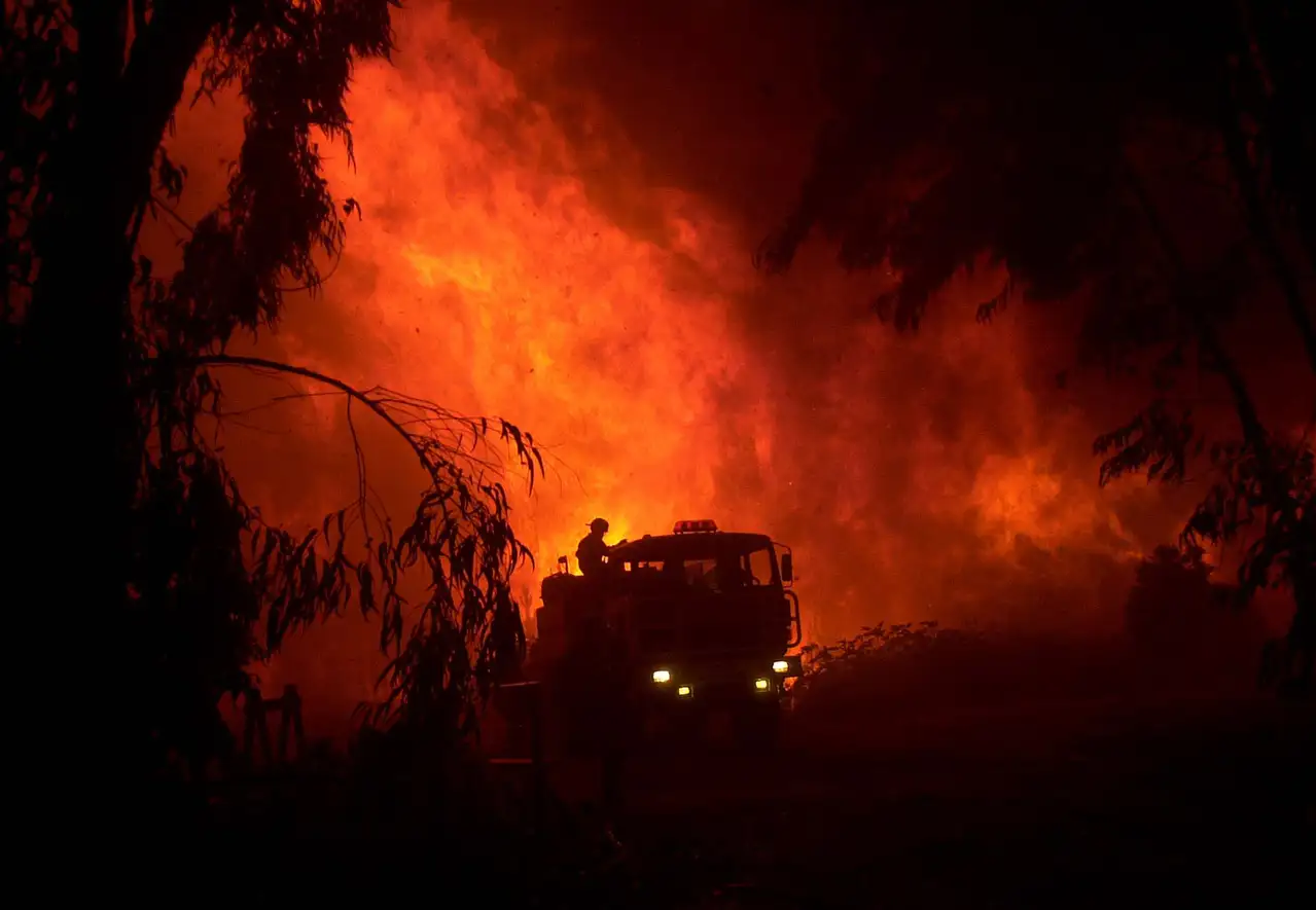 Kebakaran Hutan dan Lahan Sebagai Konsekuensi Kerusakan Ekologi